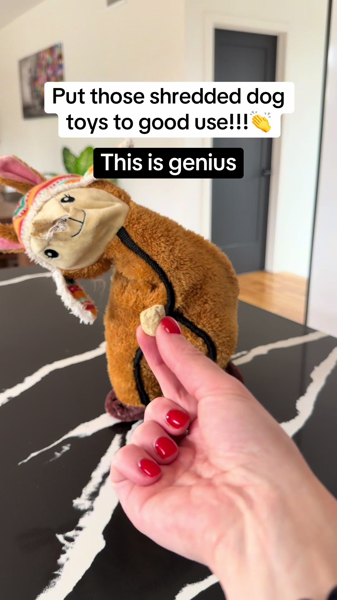 @Dogs Made Simple