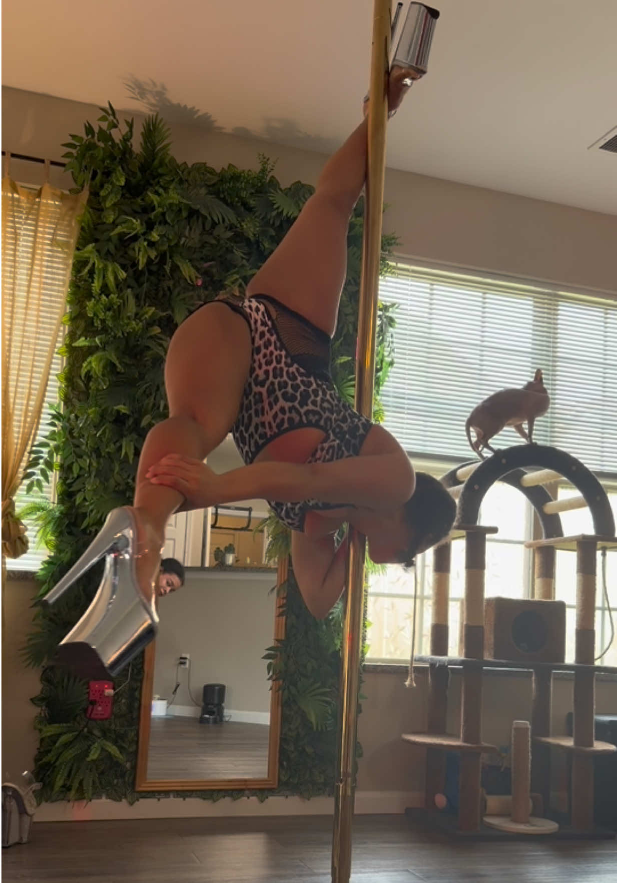 @flexyfitlizz