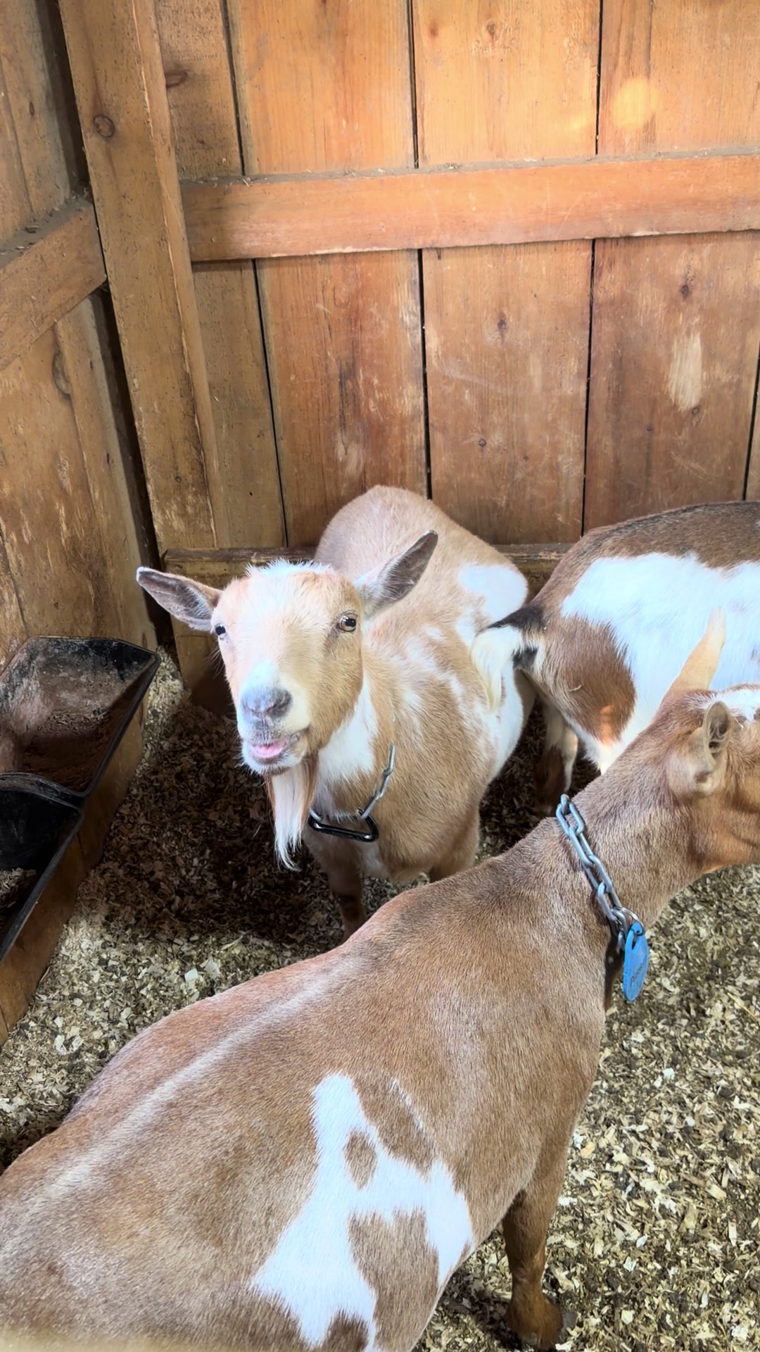 @bonnie.brook.farm