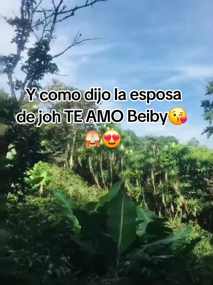 @Vane10120