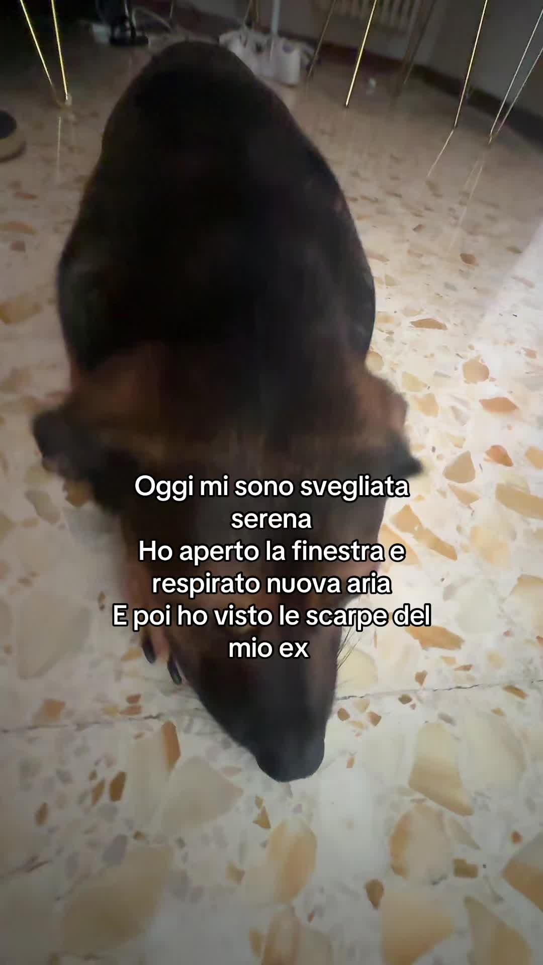 @Germana🌹