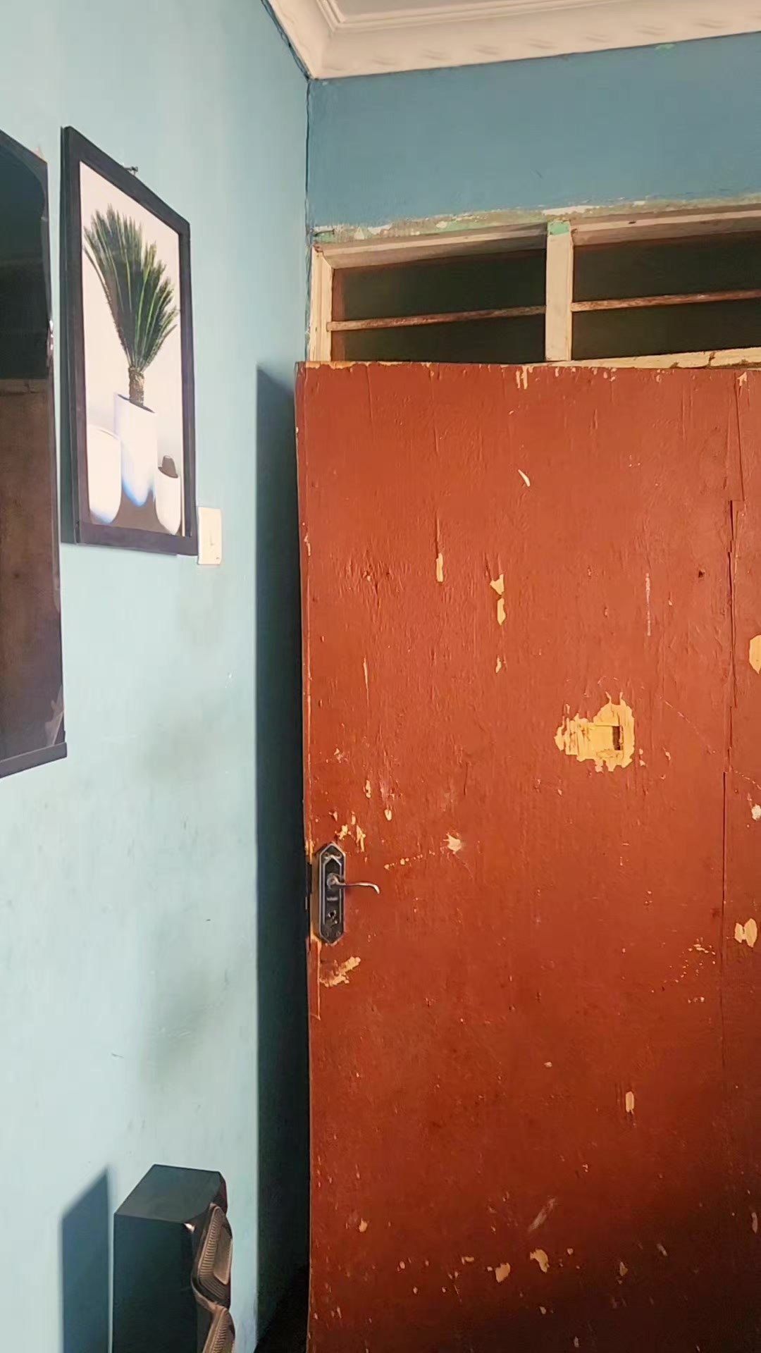@mpanyura👑