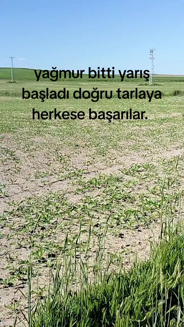 @26Kaan25