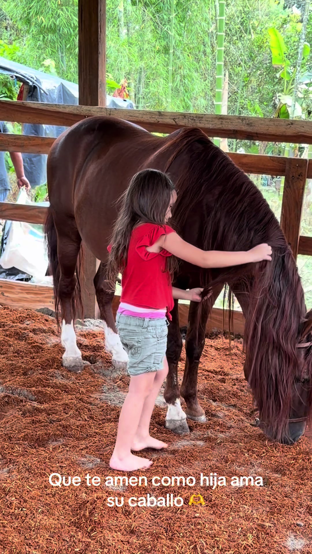 @Isa 🐴👩🏻⚕️