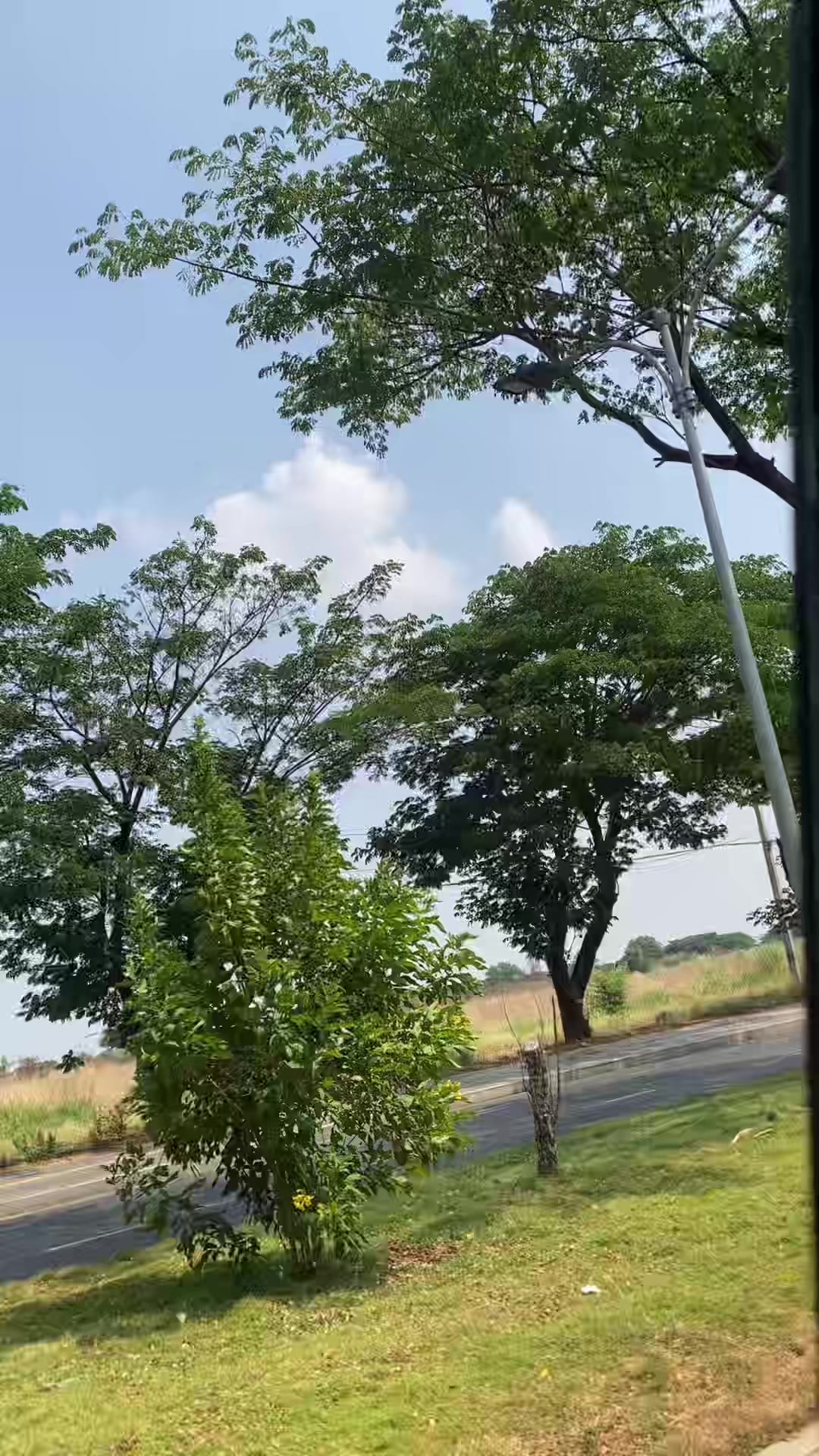 @๐ปโ๏ธ๐ฝ๐๐_แแปแ๐ค๐