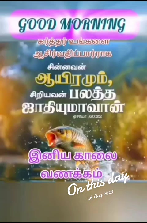 @dinu