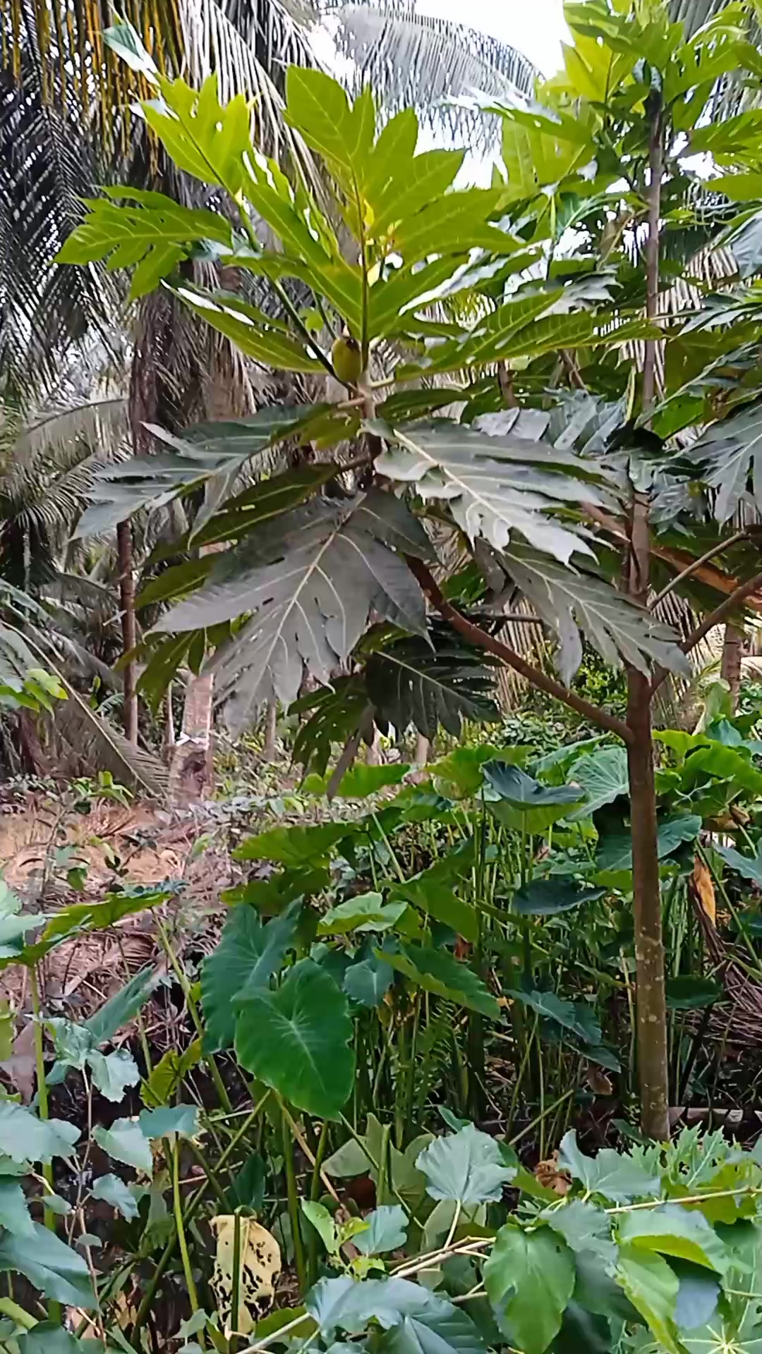 @Nguyễn Văn Hiền