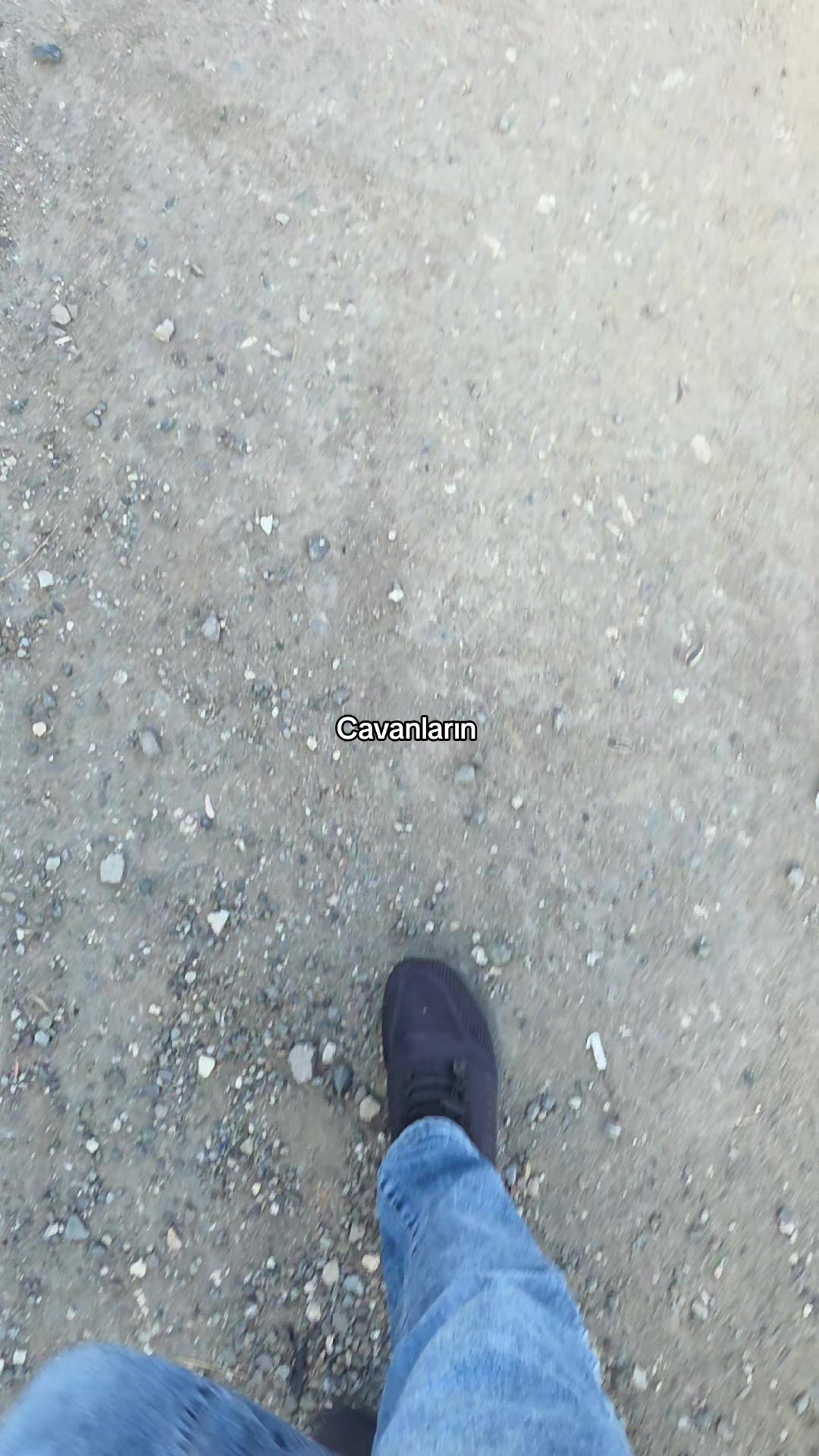 @♕