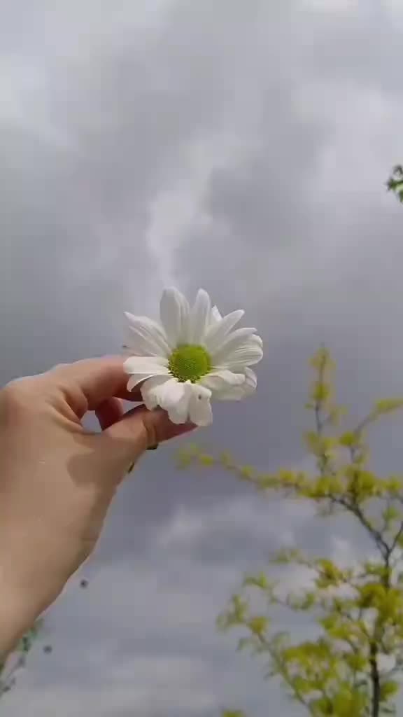 @Жанар Бегасилова