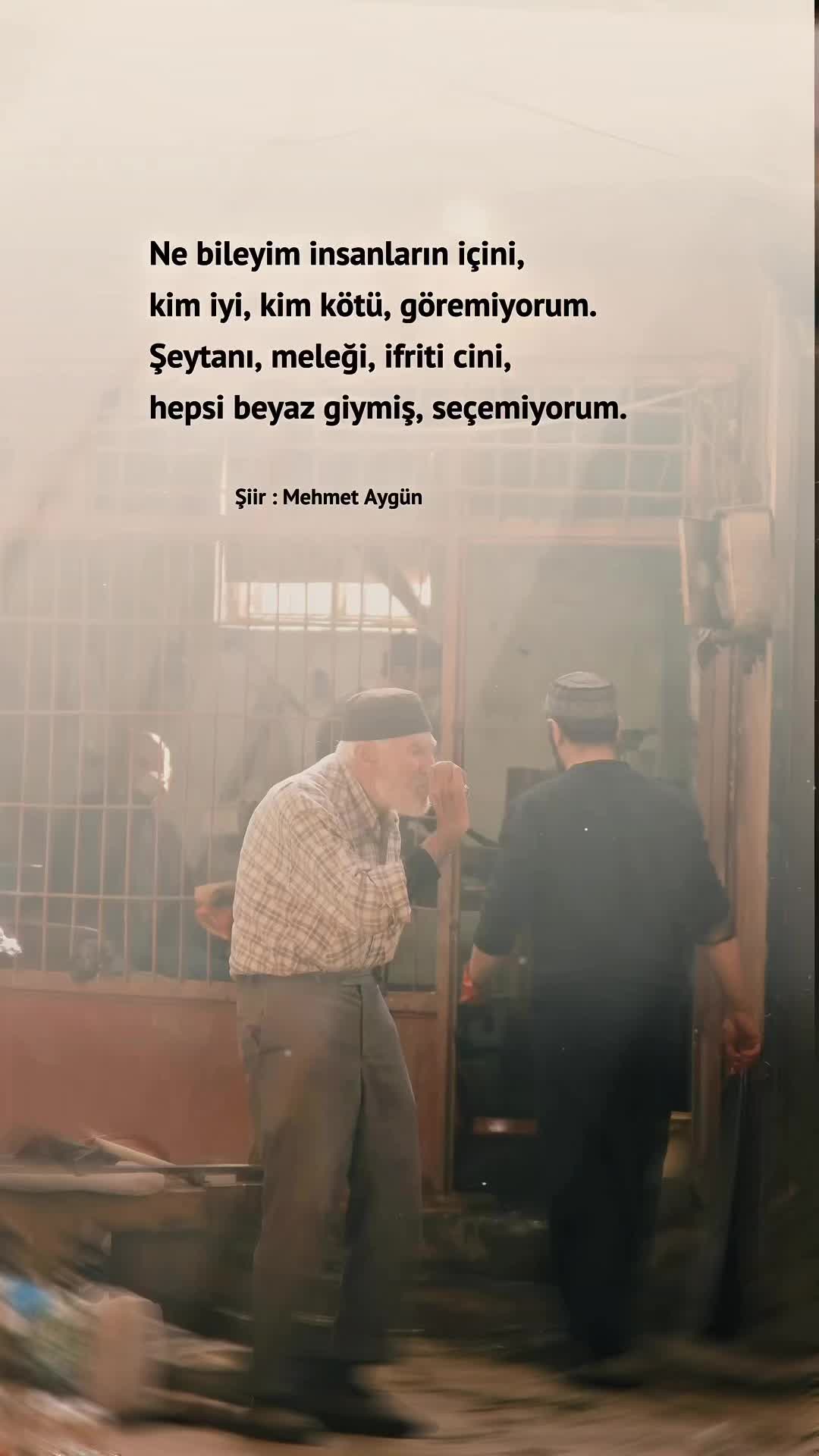 @Mehmet Aygün