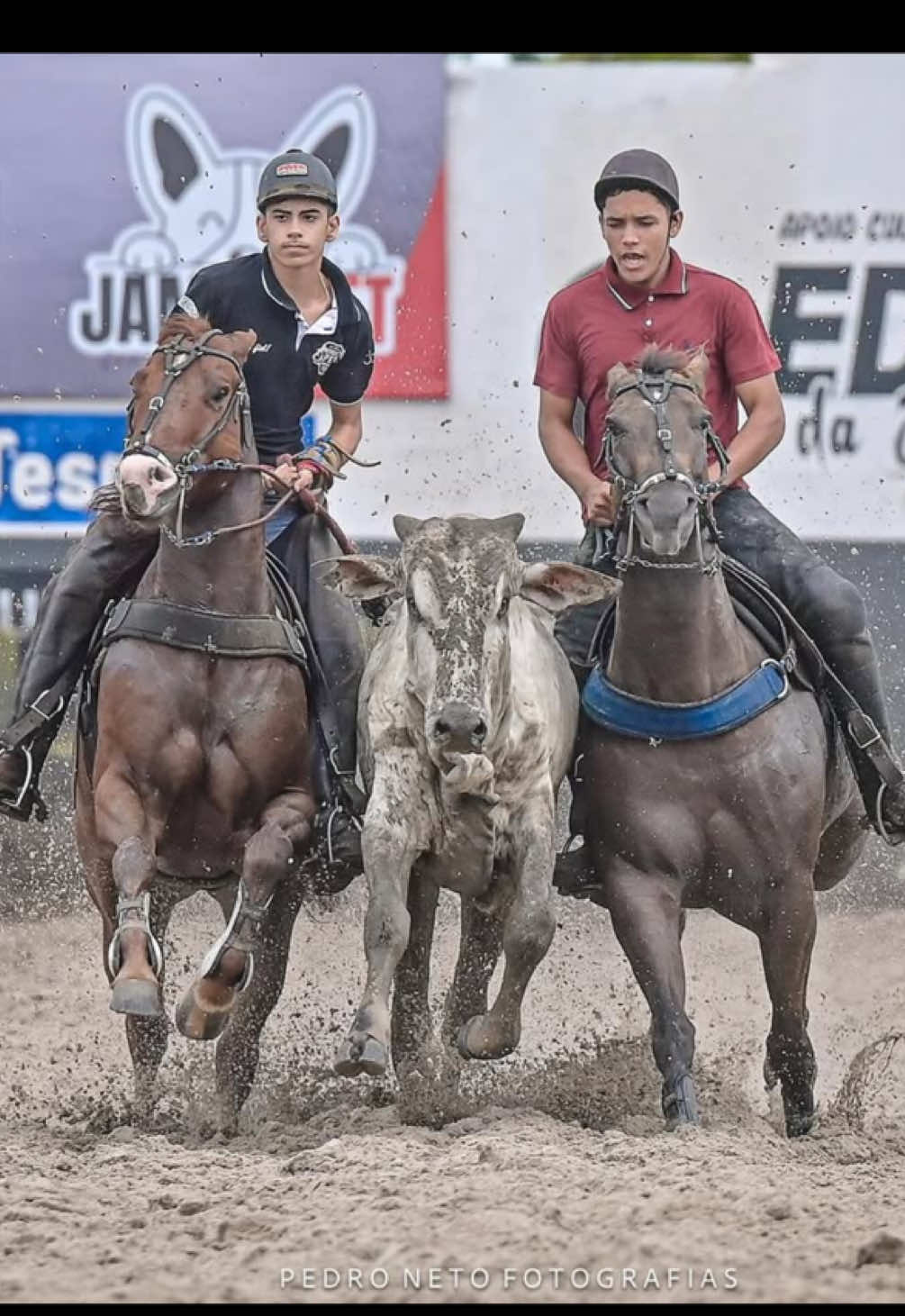 @forr&oacute; de vaquejada