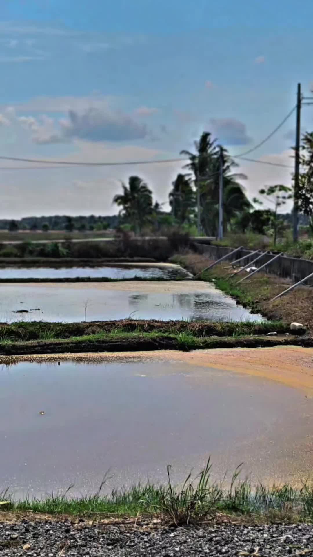 @Dari Sepinggan