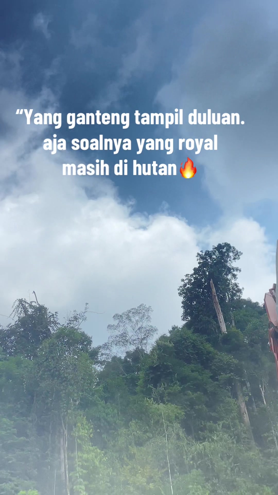 @primuz🤪🤪