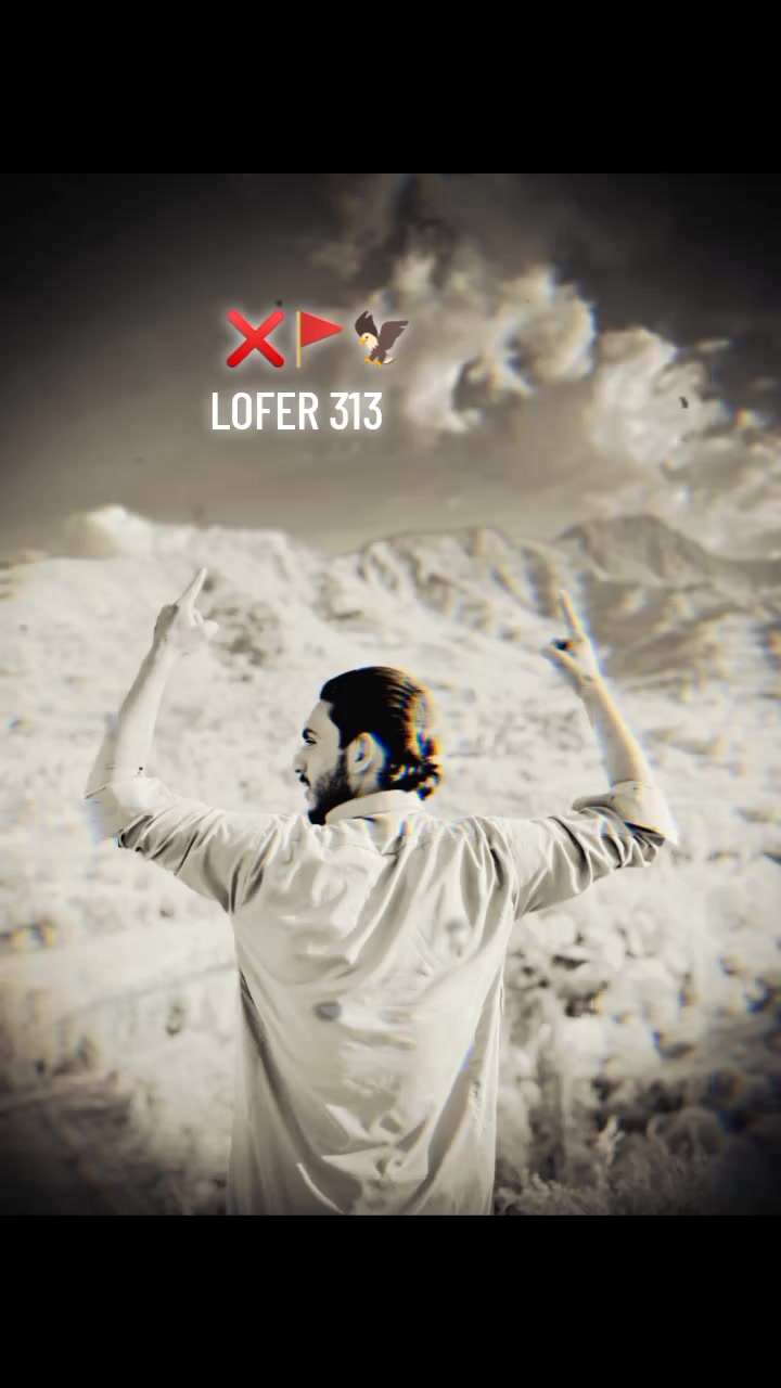 @LOFER 313