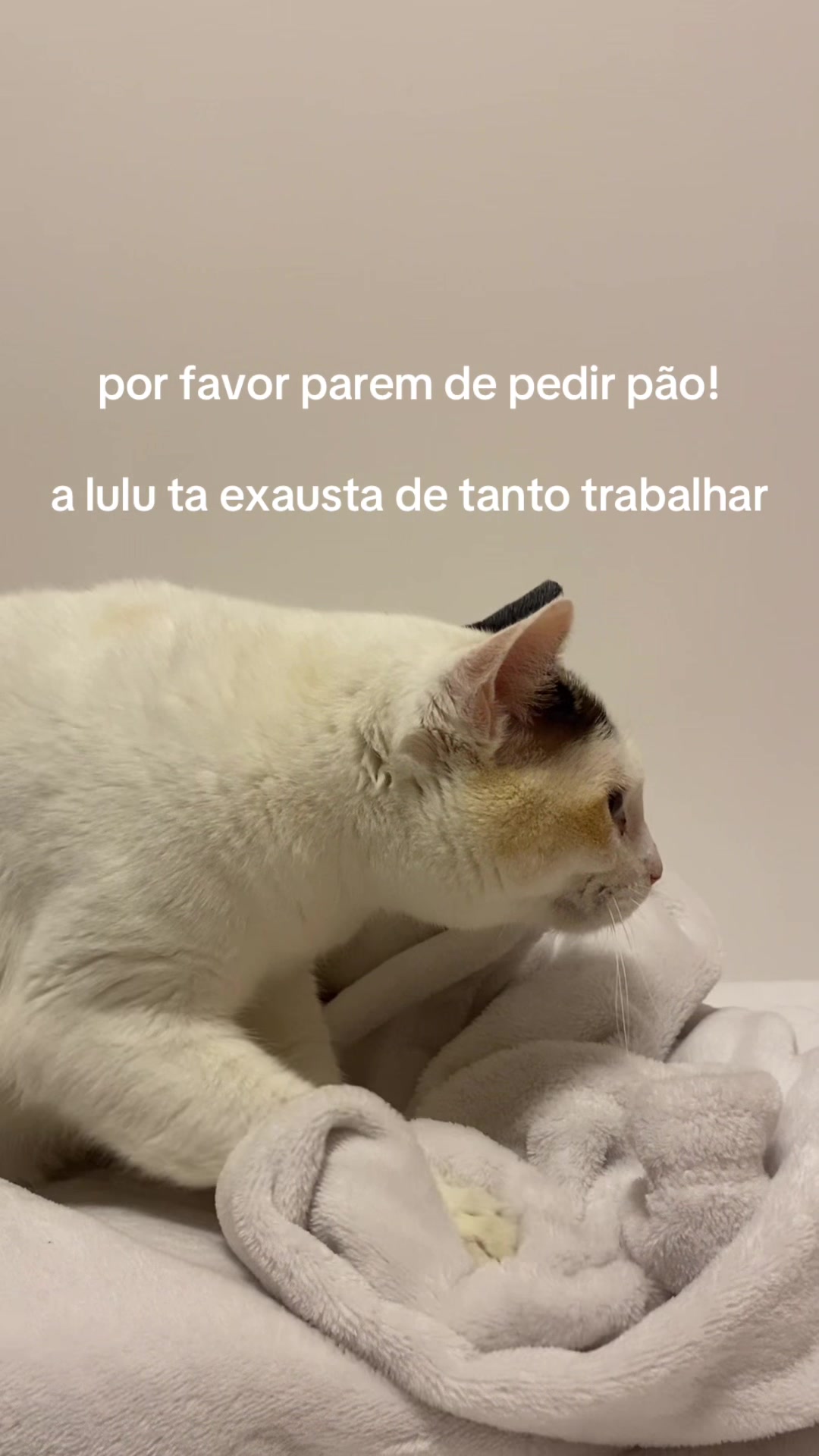 @melhoremayy