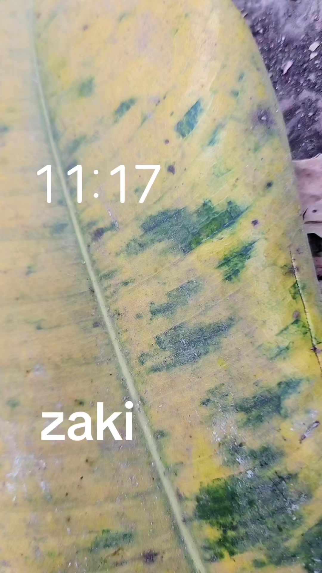 @Zaki Taibi758