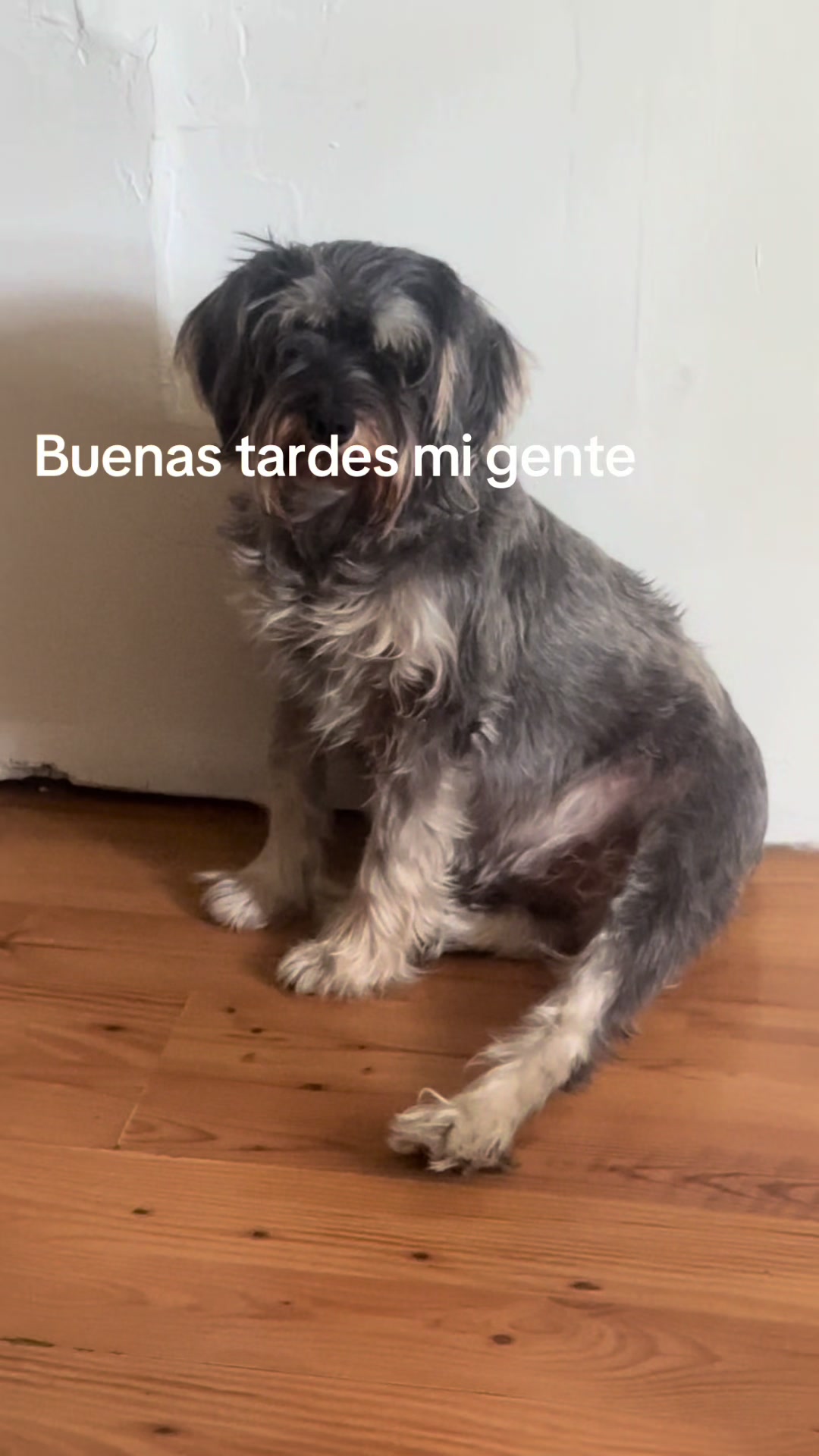 @Elcharitoopemex