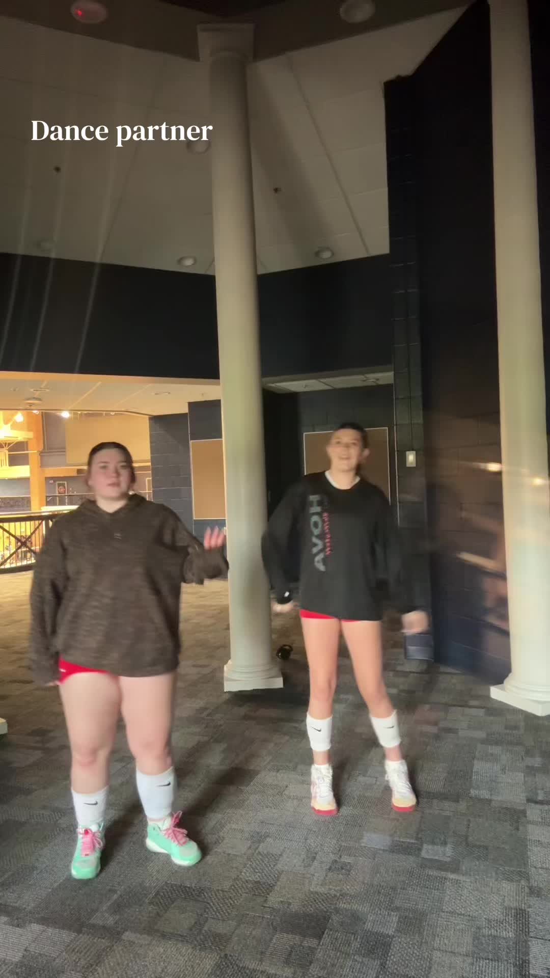 @🦨yd