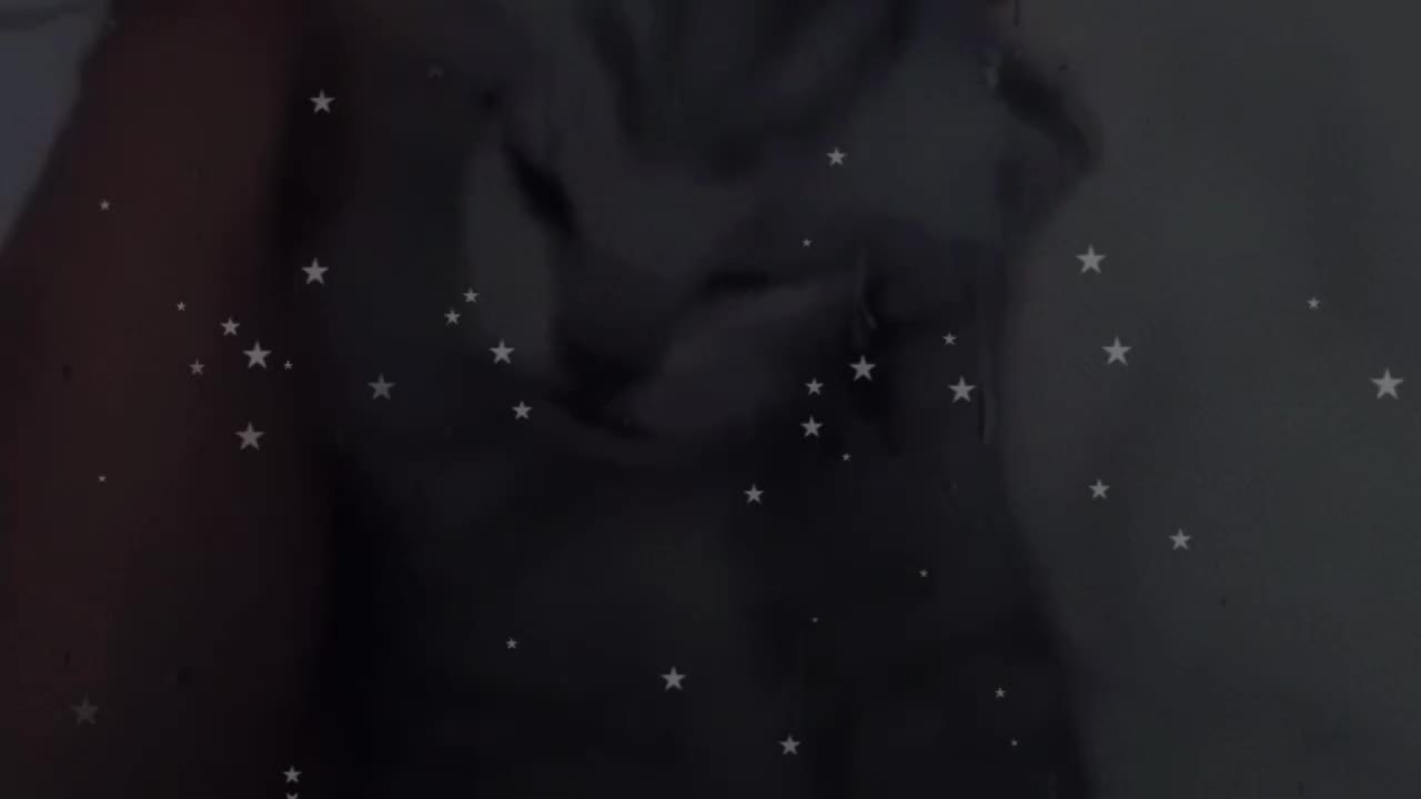 @★Kariss_bwu★
