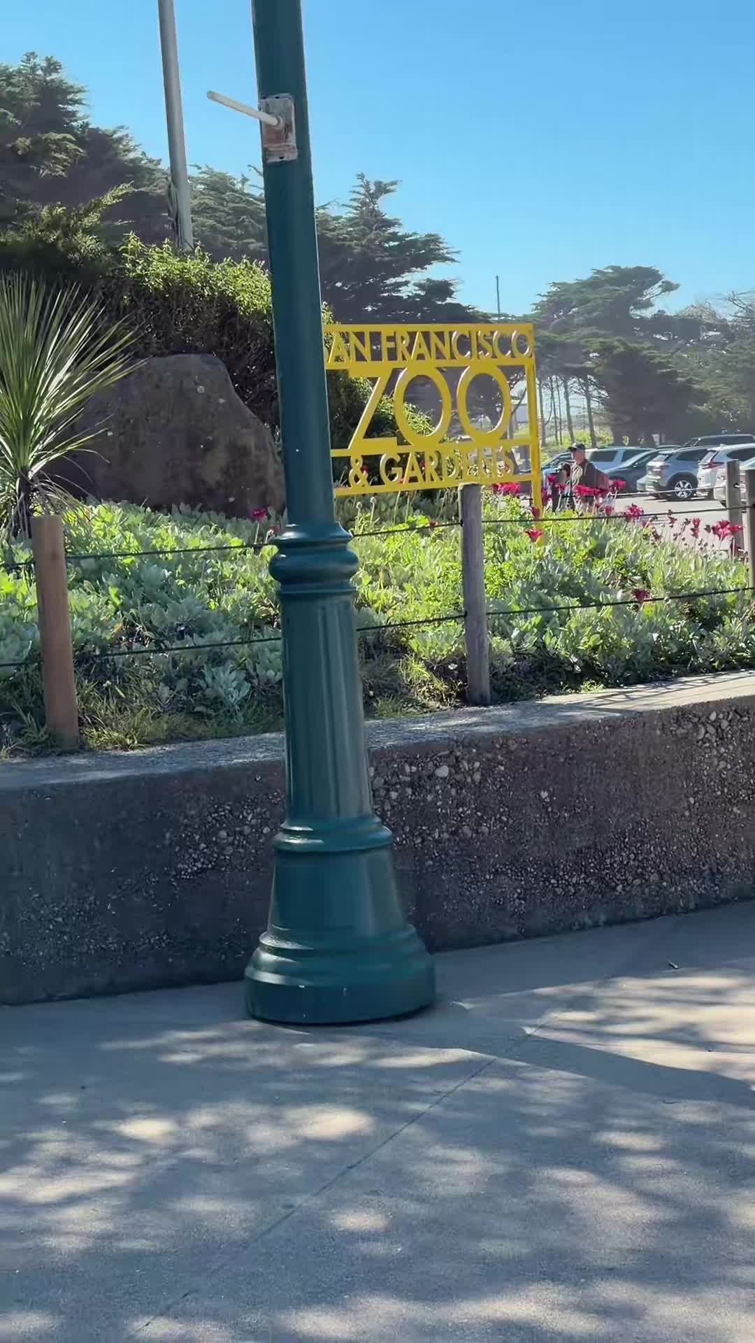 @جاكلين
