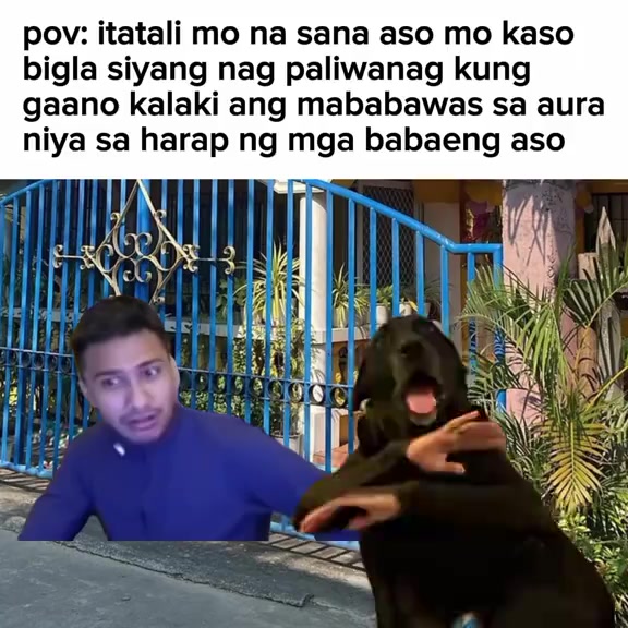 @Zaiiiii