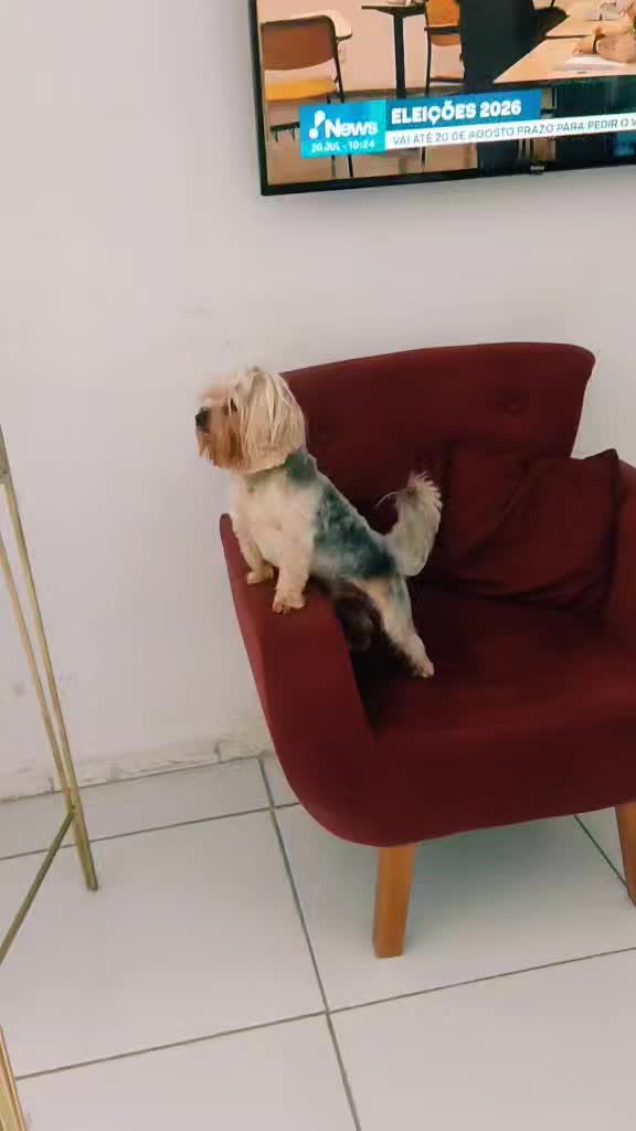 @Andrea Silva Oliveira