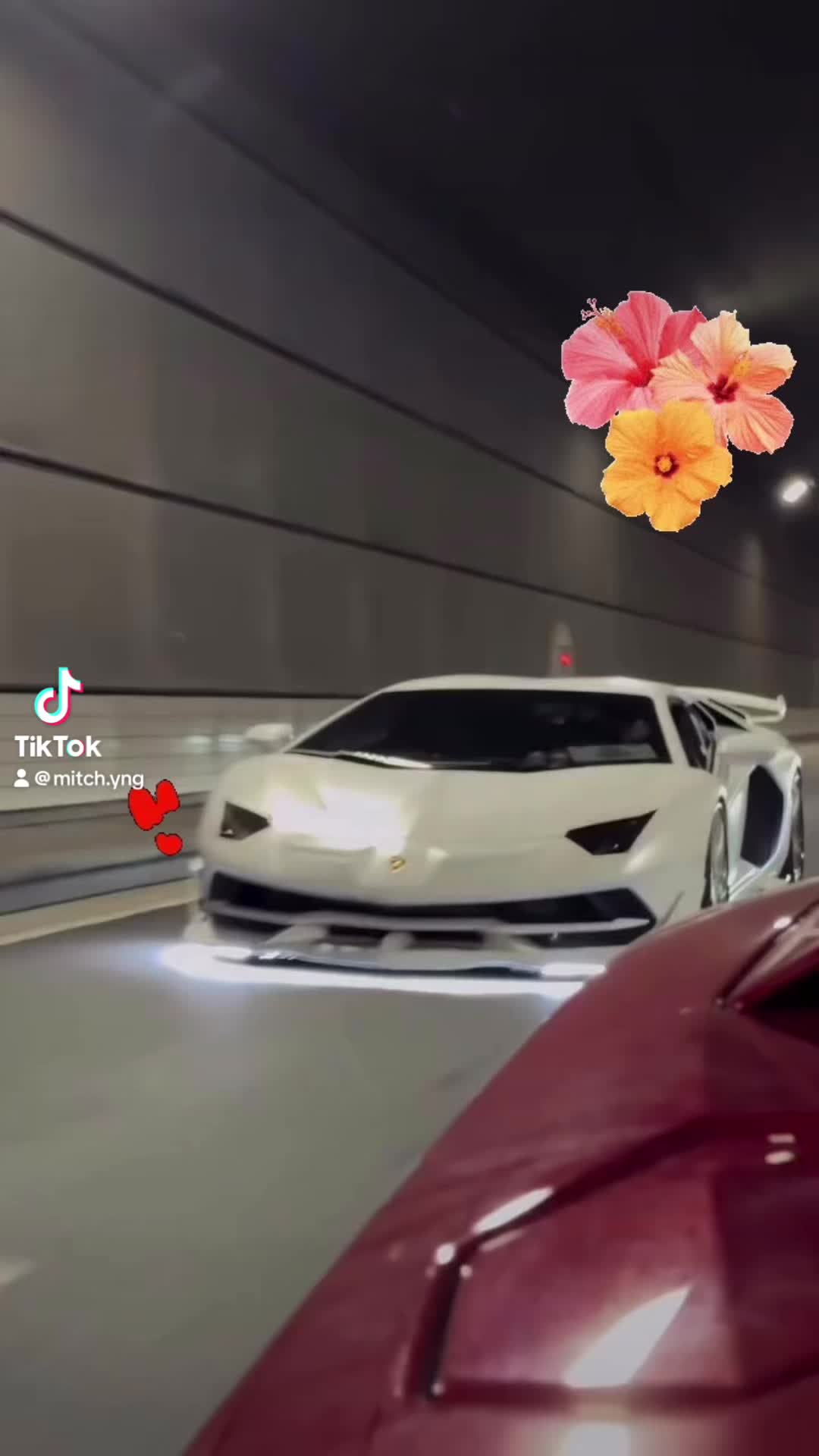 @mitch.yng