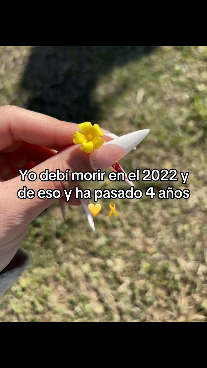 @antonellasalgan2227
