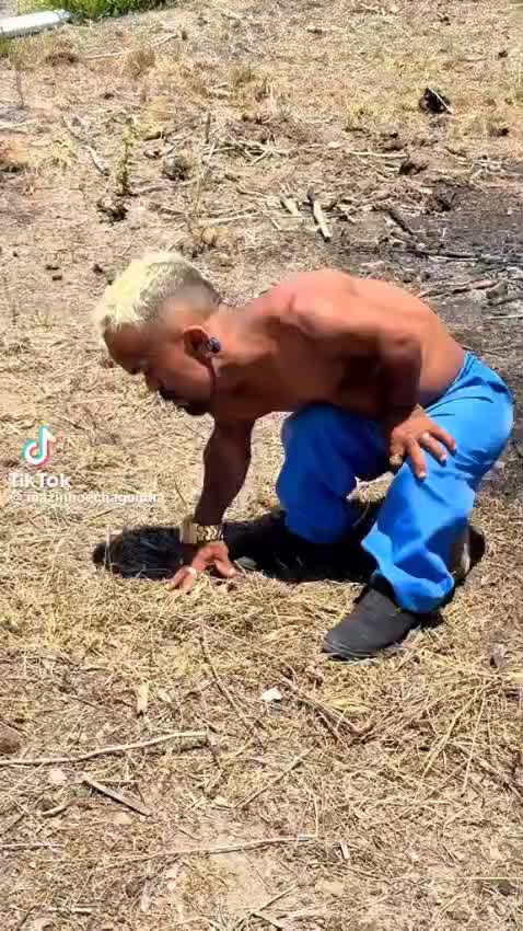 @Domingos Borges