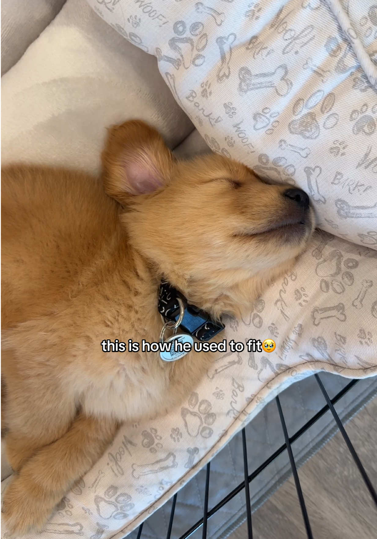 @Teddy🧸