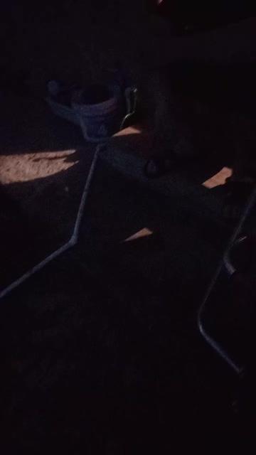 @fortboi