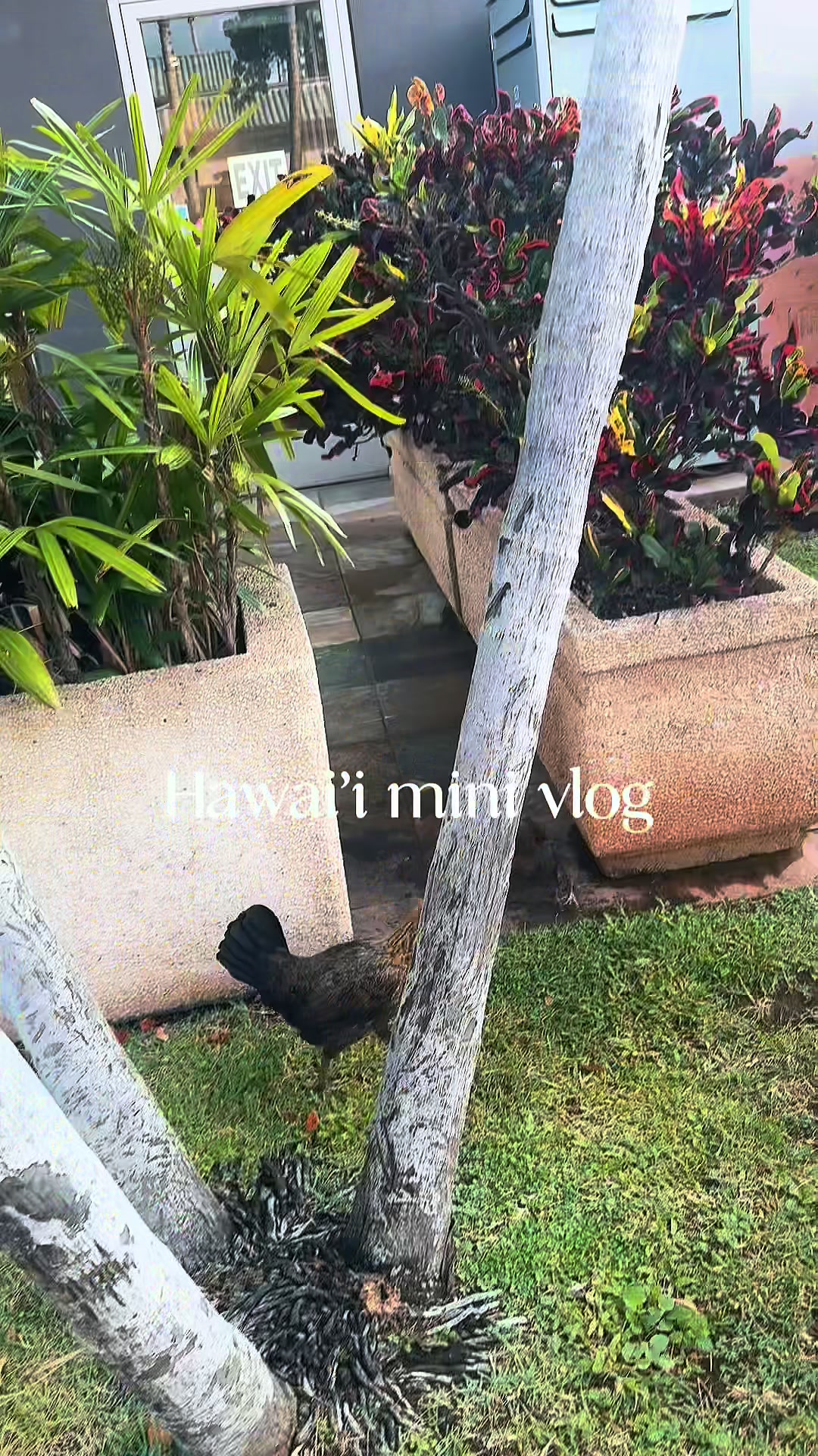 @Malia Folaumahina