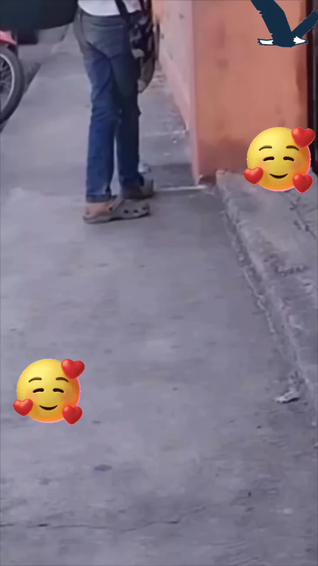 @ANTONIO MUÑOZ