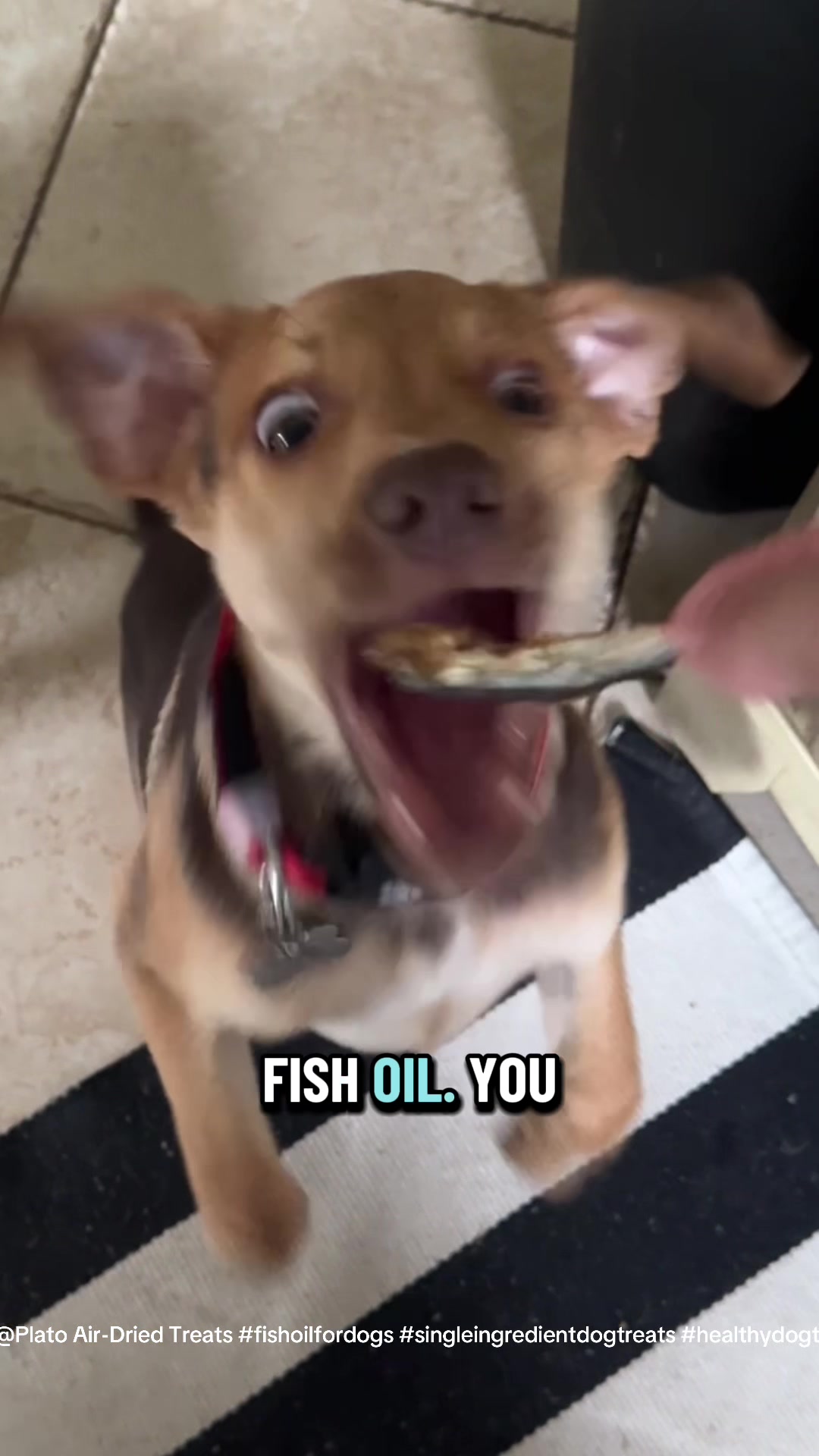 @Jay