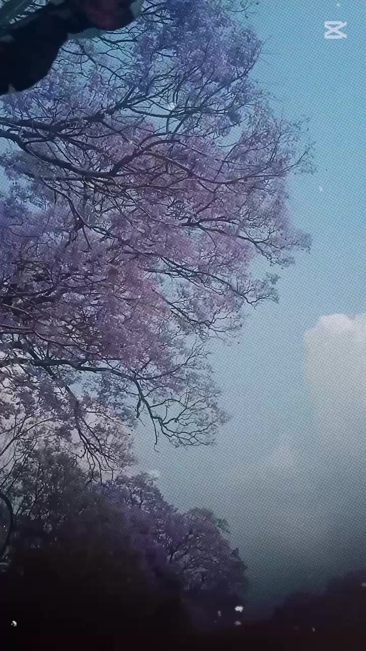 @सुदिक्ष्य 🫀🫥