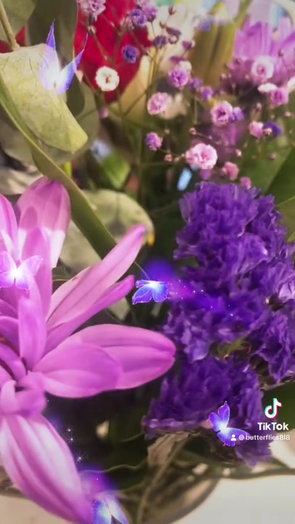 @786ami786