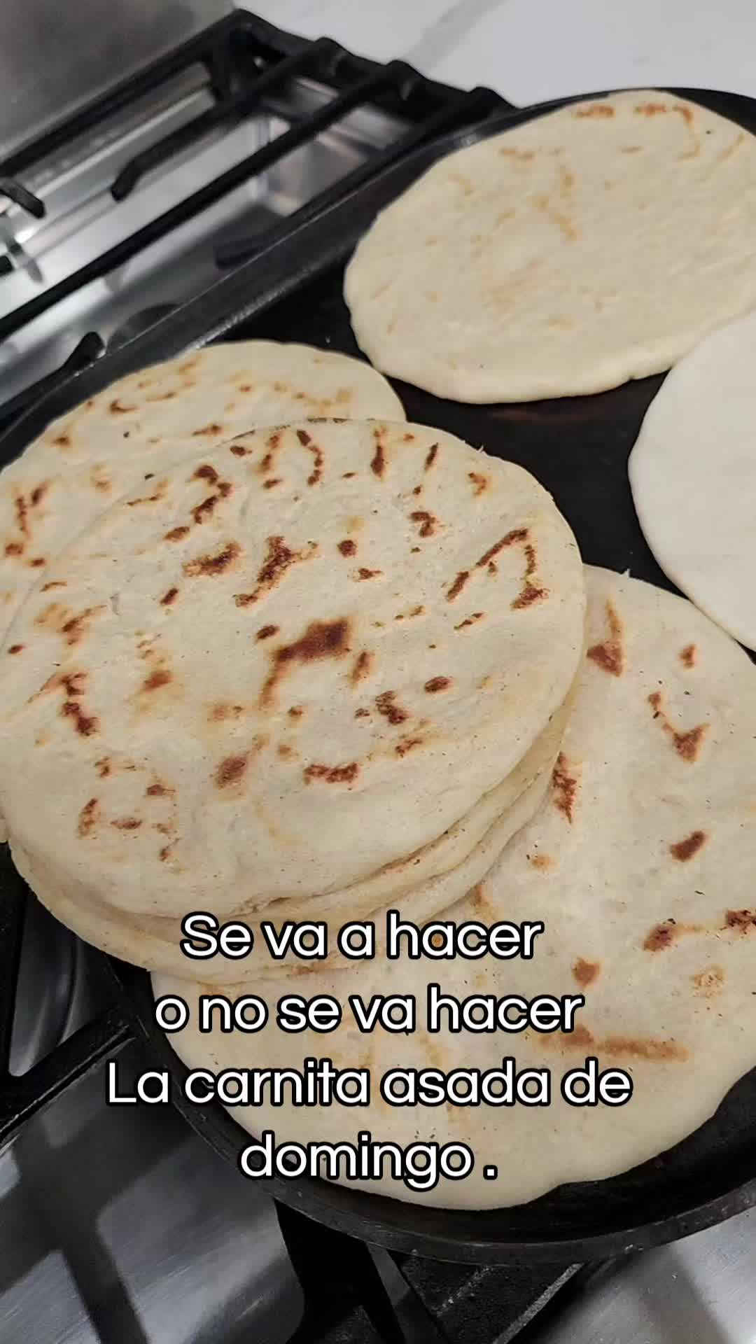 @Cecilia Machado