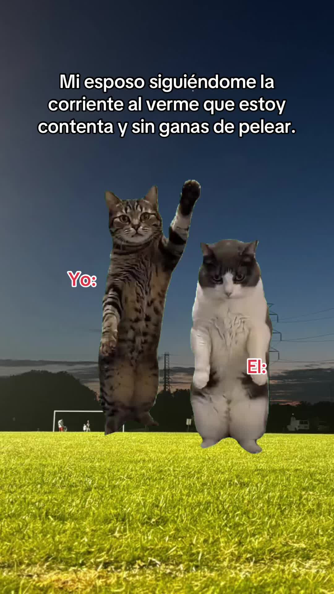 @ifuentesx 🪐⁷