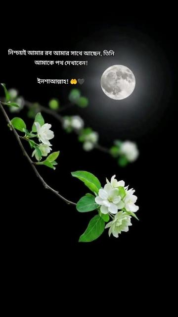 @N&ordf;&eth;&iexcl;m &sect;&ordf;&reg;k&euro;