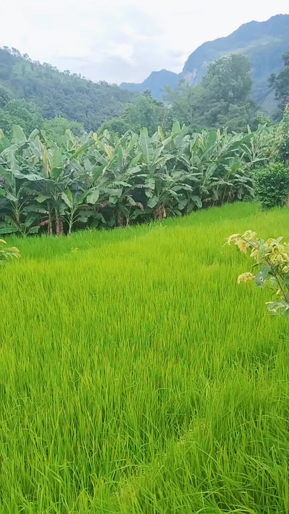 @Devi Khatri
