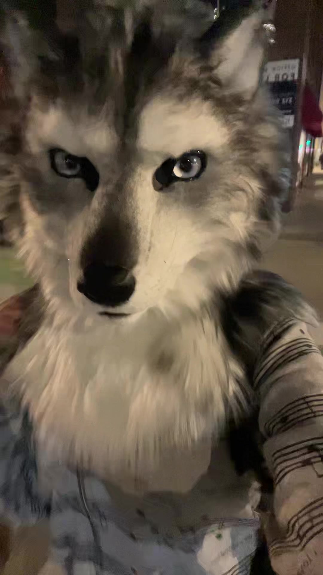 @derpykitten