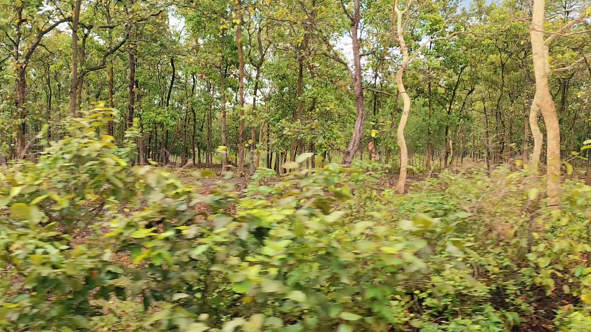 @🔰 বড় নবাব ⚠