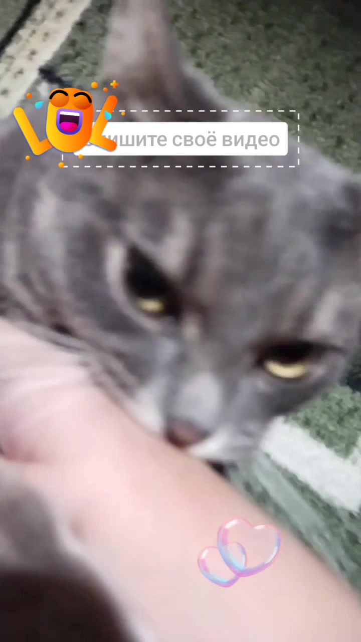 @c🫦nt_yyyy