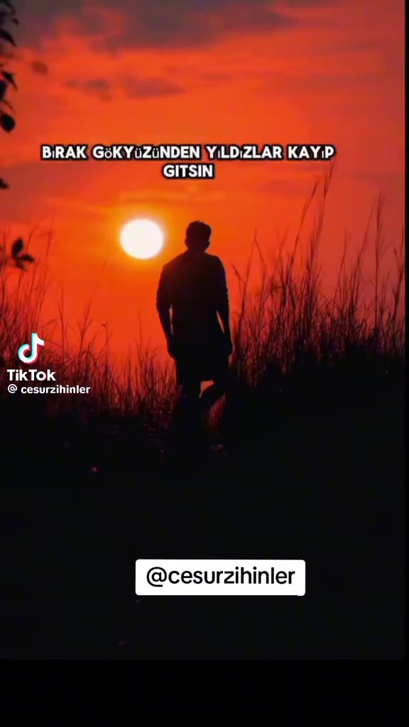 @EROL BOZKURT