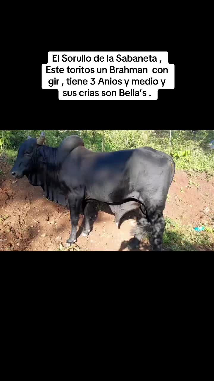 @user7944265819094