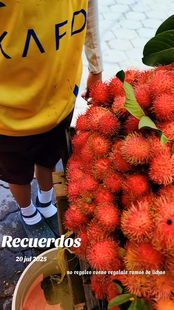 @H.H