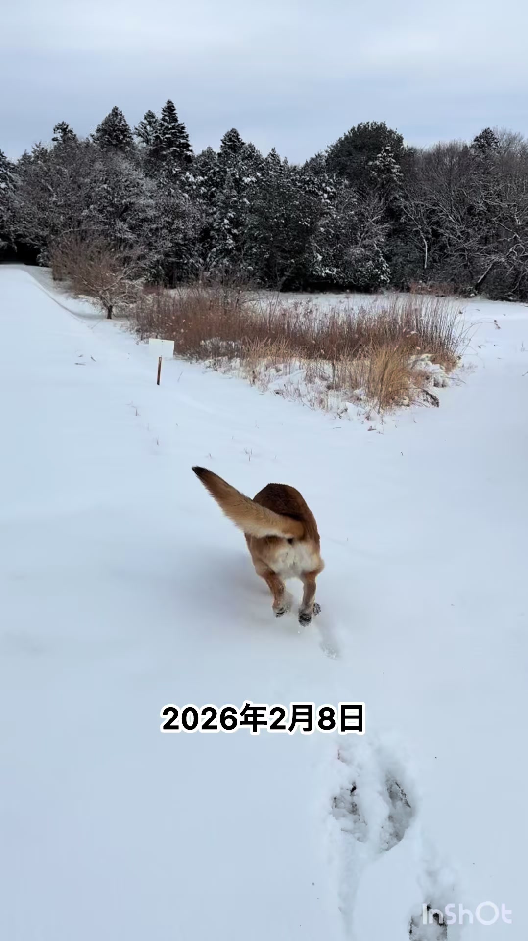 @ミウラ•リョーコ(イーツカ•リョーコ)