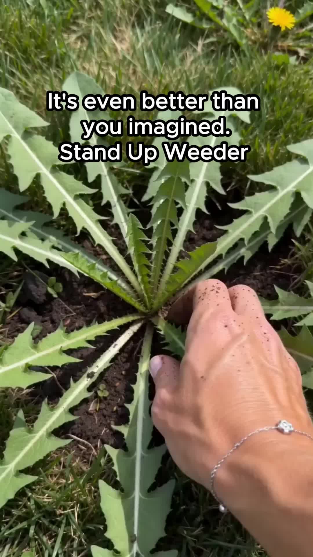 @zxmccbjn2js
