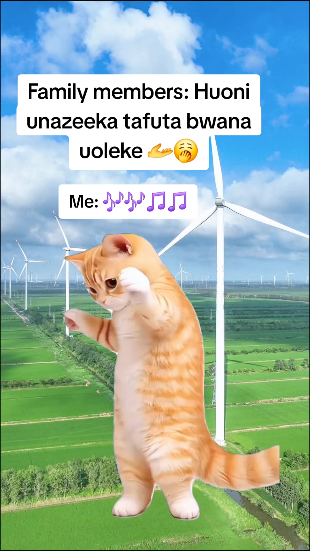 @Miss Vibez ๐ค๐๐