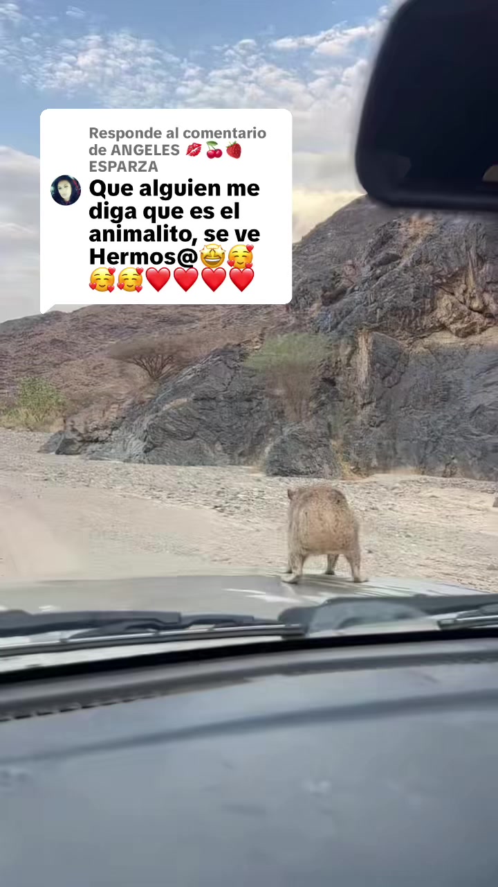 @🌙 LunaAmary🌙🧿🪬♈️ 🍉